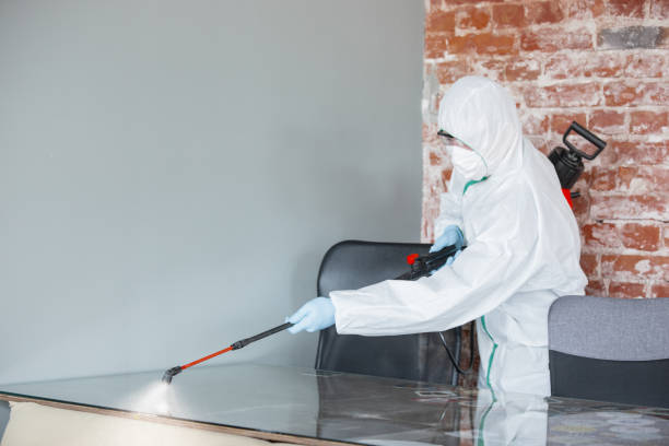 Best Basement Mold Removal  in Oronoque, CT