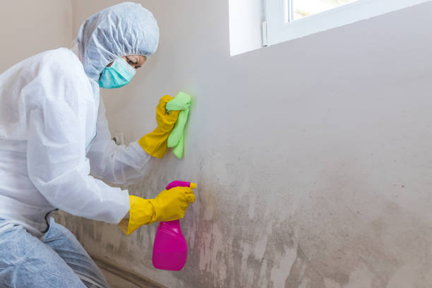 Best Biohazard Mold Removal  in Oronoque, CT